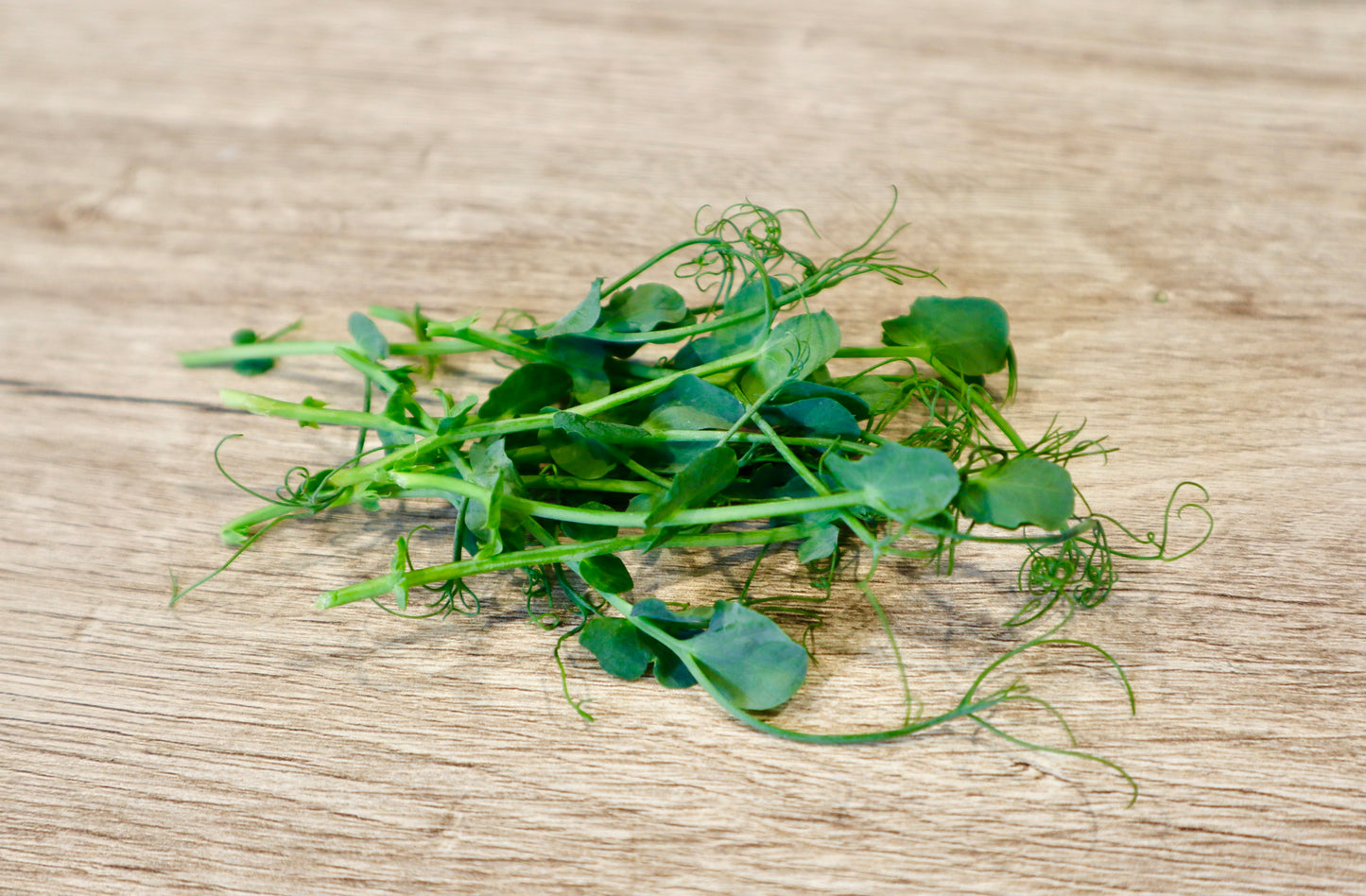 Green Pea Microgreens